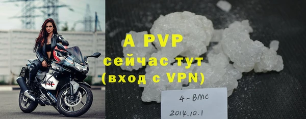 стафф Белокуриха