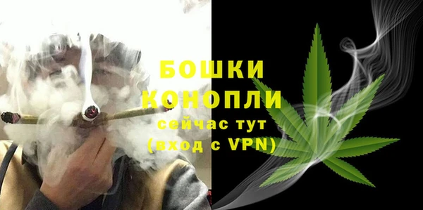 стафф Белокуриха