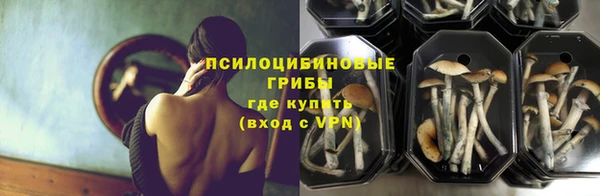 стафф Белокуриха