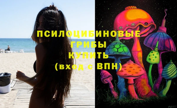 стафф Белокуриха