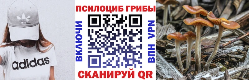 Галлюциногенные грибы мицелий  Краснотурьинск 